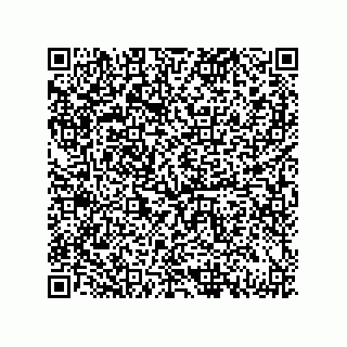 vCard 79833003776