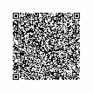 vCard 79833003809
