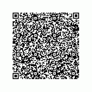 vCard 79833003811
