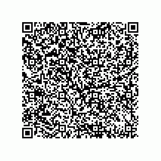 vCard 79833003873