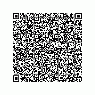 vCard 79833003875