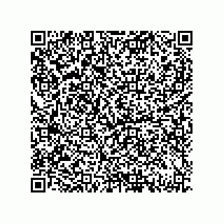 vCard 79833003880
