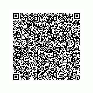 vCard 79833003907
