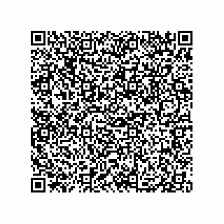 vCard 79833003908