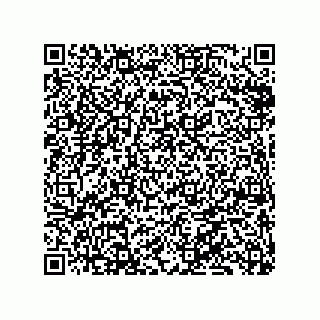 vCard 79833003911