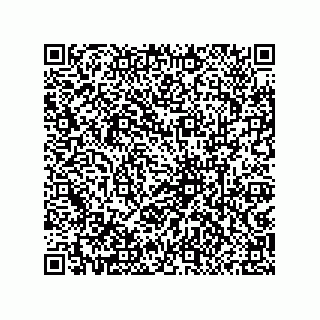 vCard 79833003915