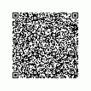 vCard 79833003919