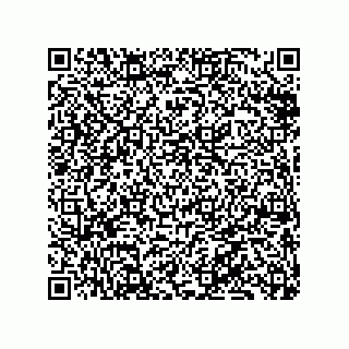 vCard 79833003931