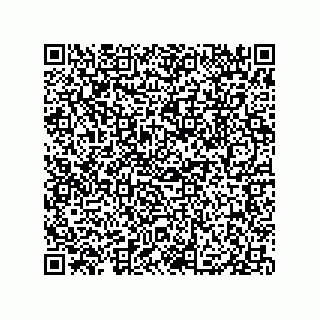 vCard 79833003933