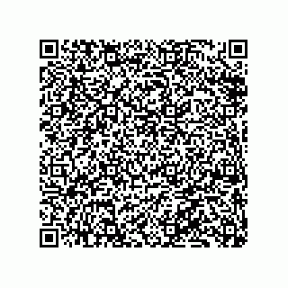 vCard 79833003941