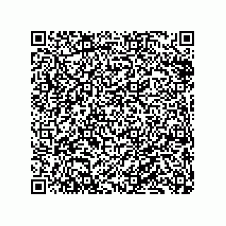 vCard 79833003953