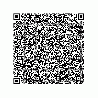 vCard 79833003963