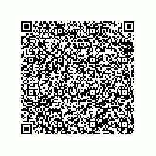 vCard 79833003991
