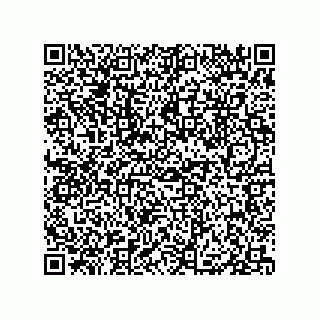 vCard 79833004001