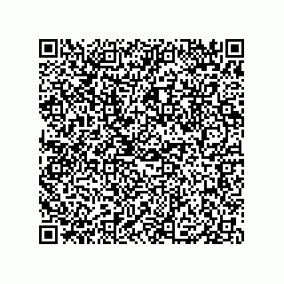 vCard 79833004007