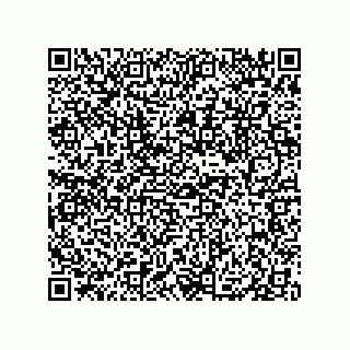 vCard 79833004008