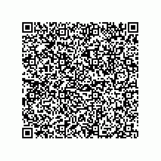 vCard 79833004009