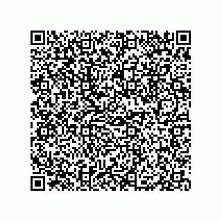 vCard 79833004013