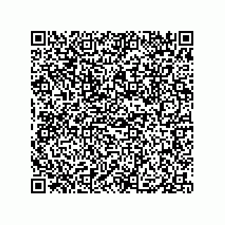 vCard 79833004019