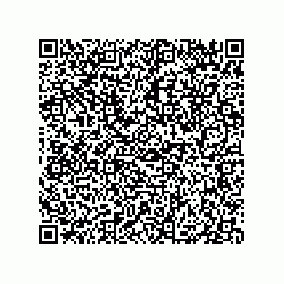 vCard 79833004020