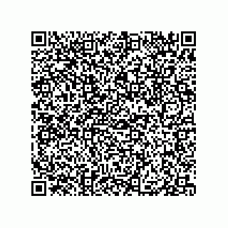 vCard 79833004021