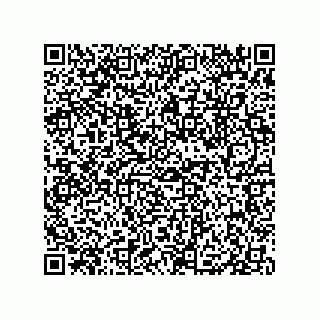 vCard 79833004027