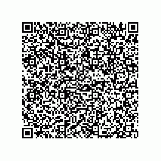 vCard 79833004029