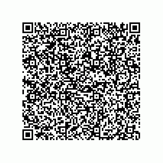 vCard 79833004030