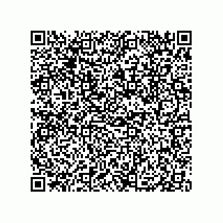 vCard 79833004038