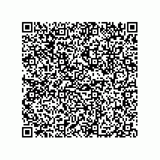 vCard 79833004063
