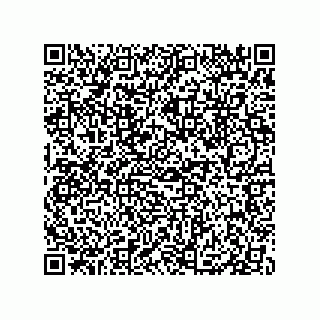 vCard 79833004066