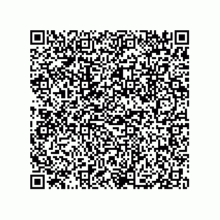 vCard 79833004068