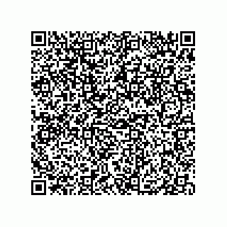 vCard 79833004082