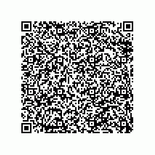 vCard 79833004084