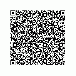 vCard 79833004095
