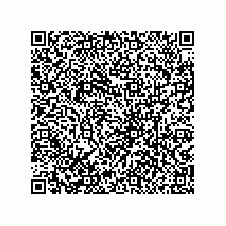 vCard 79833004099