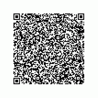 vCard 79833004100