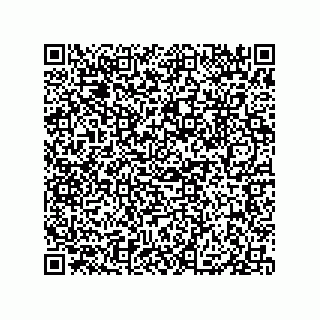 vCard 79833004105