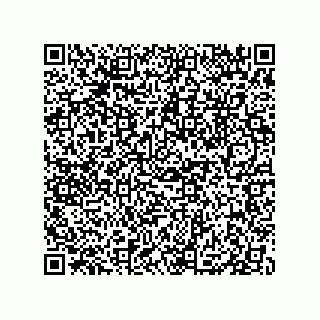 vCard 79833004106