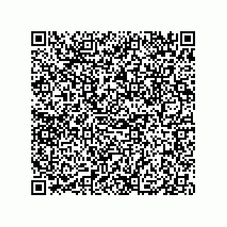 vCard 79833004107