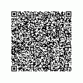 vCard 79833004108