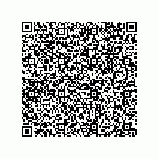 vCard 79833004111