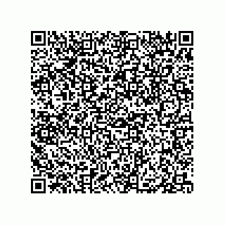 vCard 79833004121