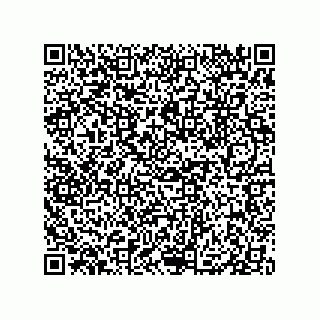 vCard 79833004128
