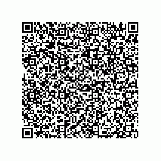 vCard 79833004129