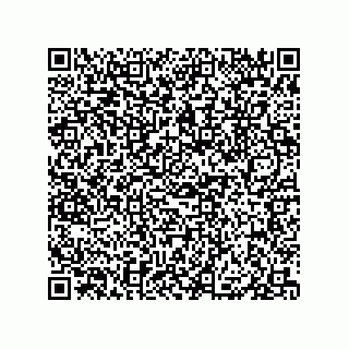 vCard 79833004131