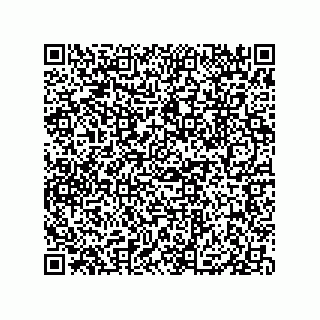 vCard 79833004132