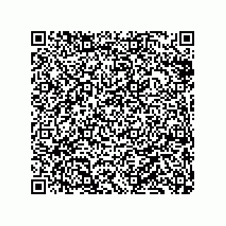 vCard 79833004133