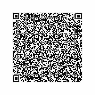 vCard 79833004161