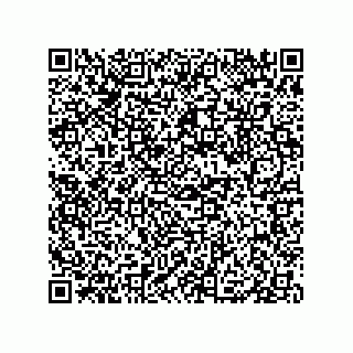 vCard 79833004207